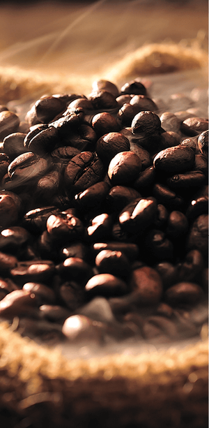 Bundles of caffeine - ama cafe